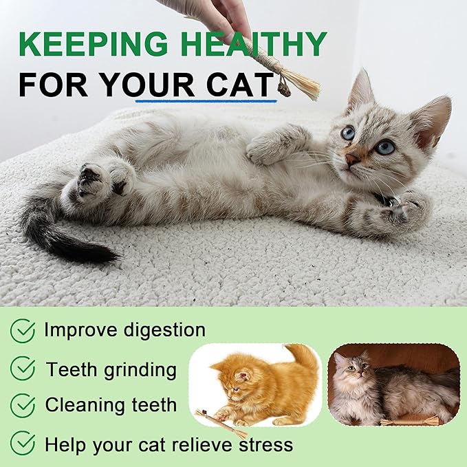 Silvervine Sticks for Cats, Silver Rattan Stick Catnip Stick,Kitten Training Toy,Cats Chew Stick Indoor,Cat Interactive Toy,Tooth Cleaning for cat,Kitty Wooden Tooth Stick Cat Game