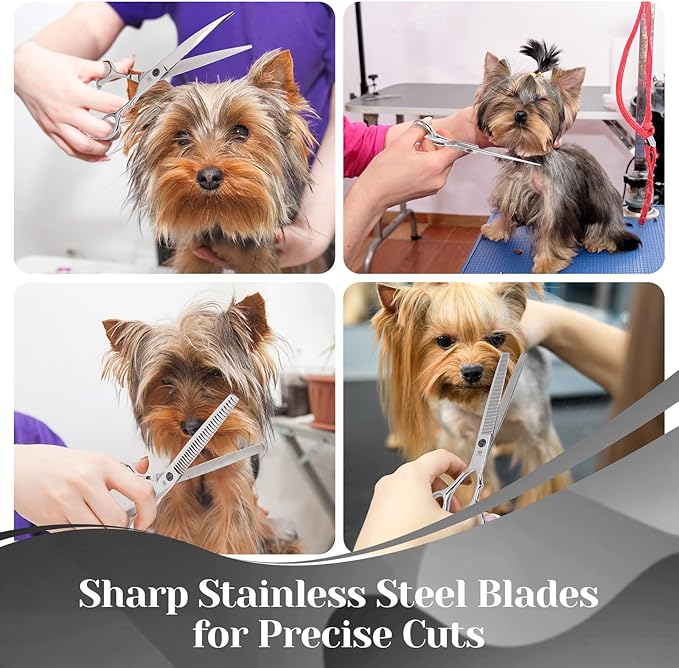 Professional Dog Grooming Scissors Set,Curved Dog Grooming, Thinning Scissors,Chunkers,440C Stainless Steel pet grooming scissors