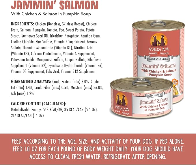 Weruva Classic Dog Food, Jammin' Salmon with Chicken & Salmon in Gravy, 14oz Can (Pack of 12), Red (Jammin’ Salmon)