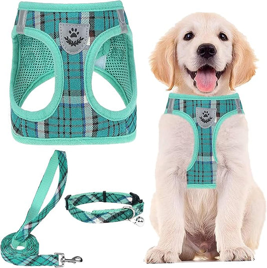 PUPTECK Adjustable Dog Harness Collar and Leash Set Step in No Pull Pet Harness for Small Medium Dogs Puppy and Cats Outdoor Walking Running, Soft Mesh Padded Reflective Vest Harnesses, Lake Green S