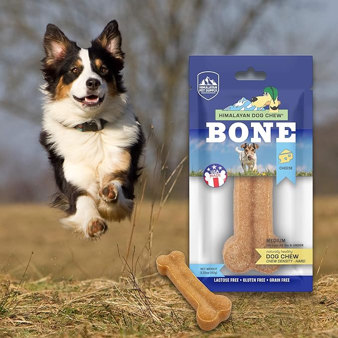 Himalayan Pet Supply Dog Chew Bone - Medium | Long Lasting, Stain Free, Protein Rich, Low Odor | 100% Natural, Healthy & Safe | No Lactose, Gluten, Soy or Grains | for Dogs 45 lbs and Under, Cheese