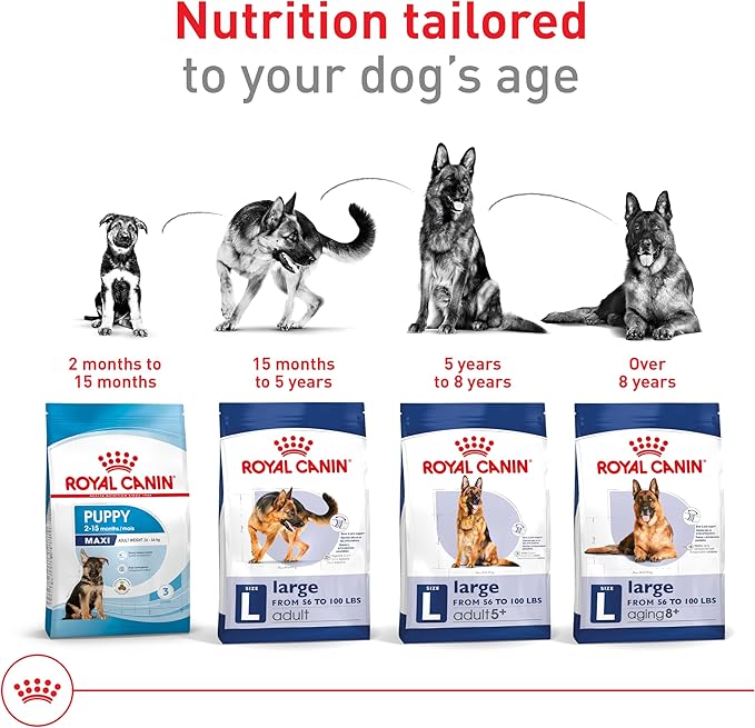 Royal Canin Size Health Nutrition Large Adult Dry Dog Food, 4 lb Bag
