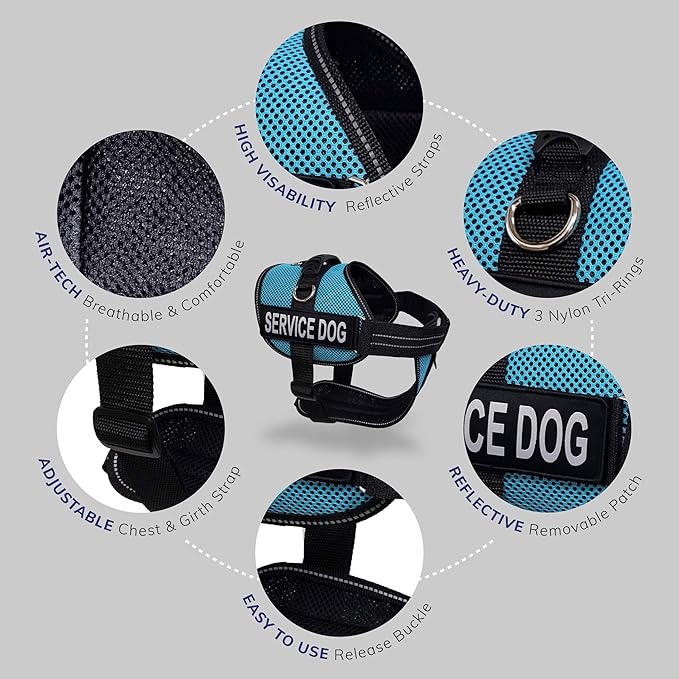 ActiveDogs Full Service Dog Kit - Medium Aqua - Vest Harness with Handle, ID, ID Holder, ADA Service Dog Cards, Medical Alert Keychain, Leash & Patches