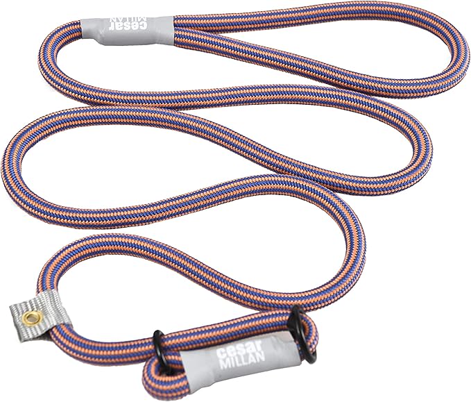 Cesar Millan Slip Lead Leash™ - 2-in-1 Slip Collar Dog Training Lead & Collar | Heavy Duty Durable Weatherproof Rope Leash, No Pull Training | Length 4ft Diameter 4/10”(Regular, Blue/Orange)