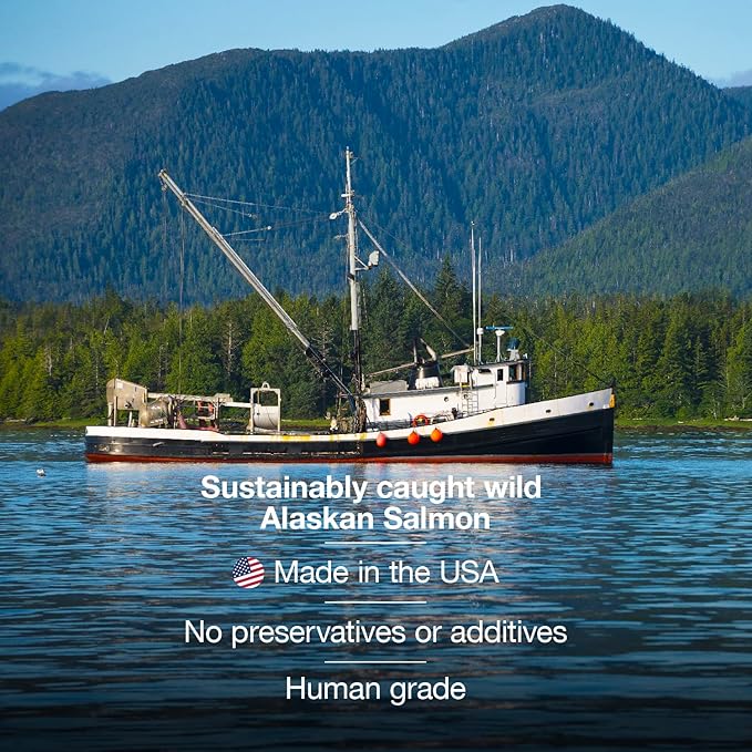 SavvyBeast Wild Alaskan Salmon Oil for Dogs, Cats & Ferrets – Omega-3 Fish Oil Pet Supplement with EPA & DHA – Supports Skin, Coat, Joints, Heart, Brain, Itch Relief & Immune – Unscented – 32 oz