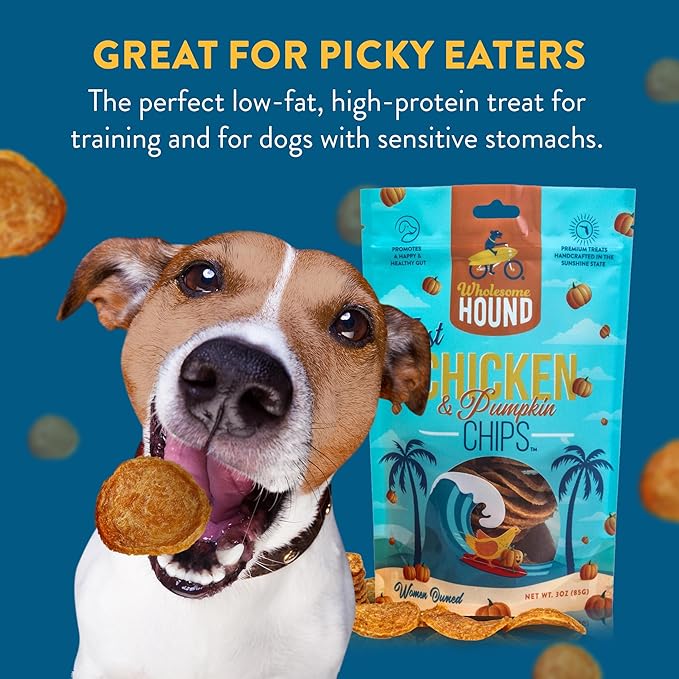 Just Chicken & Pumpkin Chips | Two Premium Ingredient & Healthy Dog Treats | All Natural Canine Rewards | Dog Training Treats for Small, Medium, and Large Breeds | Made in USA - 3oz