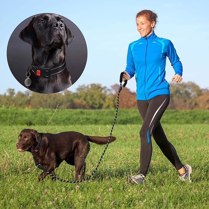 Heavy Duty Dog Leash - Comfortable Padded Handle, 5 ft Long - Dog Leashes for Small Medium Large Dogs (Leash+Collar S Neck 13.5"-16", Black)