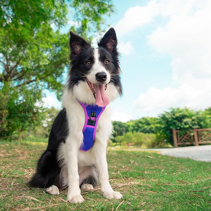 PHOEPET 2019 Upgraded No Pull Dog Harness, Reflective Adjustable Vest, with a Training Handle + 2 Metal Leash Hooks+ 3 Snap Buckles +4 Slide Buckles(L, Royal Blue)