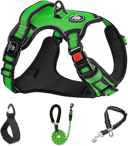 NESTROAD No Pull Dog Harness,Adjustable Oxford Dog Vest Harness with Leash,Reflective No-Choke Pet Harness with Easy Control Soft Handle for Small Dogs(Small,FluorescentGreen)