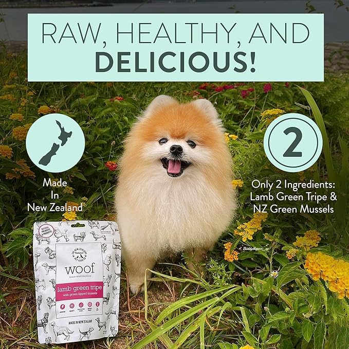 WOOF Lamb Green Tripe Freeze Dried Raw Dog Treats with Added New Zealand Green Mussel - High Protein, Natural, Limited Ingredient Topper or Treat 1.76 oz