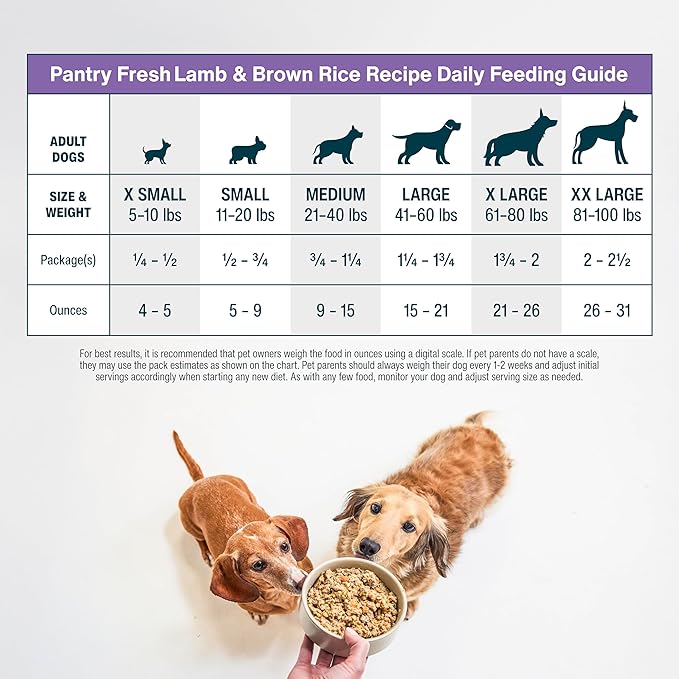 JustFoodForDogs Pantry Fresh Wet Dog Food, Complete Meal or Dog Food Topper, Lamb & Brown Rice Human Grade Dog Food Recipe - 12.5 oz (Pack of 12)