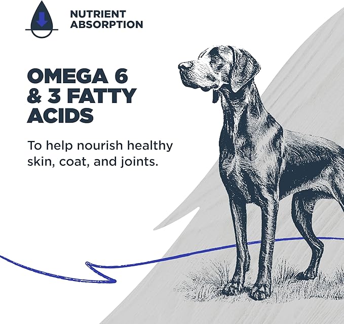 Blackwood Grain Free Dry Dog Food, Chicken & Field Pea Recipe, 24 Pound Bag for All Life Stages, Slow Cooked with Vitamins & Minerals for a Balanced Diet