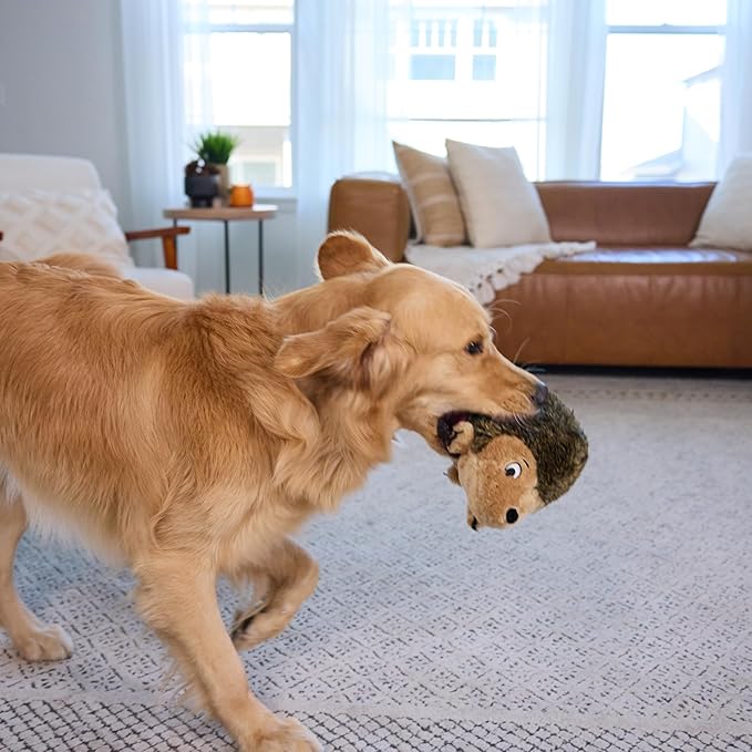 Outward Hound, Hedgehogz Plush Dog Toy, Large
