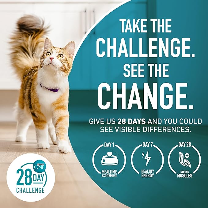 Purina ONE Natural Dry Cat Food, Tender Selects Blend with Real Salmon - 22 lb. Bag