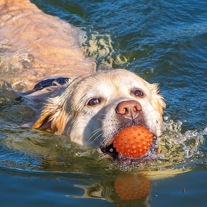 Apasiri Peanut Flavor Dog Ball, Indestructible Dog Toy for Aggressive Chewers, Large Breed, Squeaky, Rubber, Orange