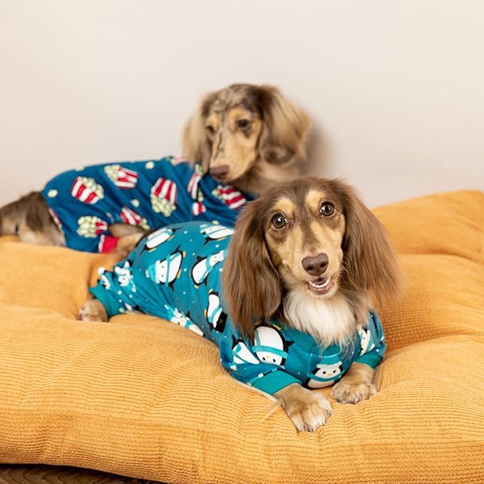 Fitwarm Cute Penguin Dog Pajamas, Dog Winter Clothes for Small Dogs Girl Boy, Cozy Dog Onesie, Soft Pet Jammies, Doggy Apparel, Teal Blue, XS