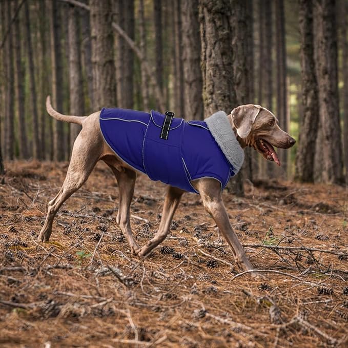 Lelepet Warm Dog Coat Reflective Fleece Vest Waterproof Dog Jacket with Adjustable Buckle Hook & Loop Windproof Cold Weather Coats for Small Medium Large Dogs, Blue, S