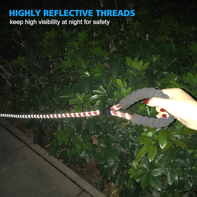 Heavy Duty Dog Leash - Comfortable Padded Handle, 5 ft Long - Dog Leashes for Small Medium Large Dogs (Leash+Collar XS Neck 10.5"-13.5", Red)