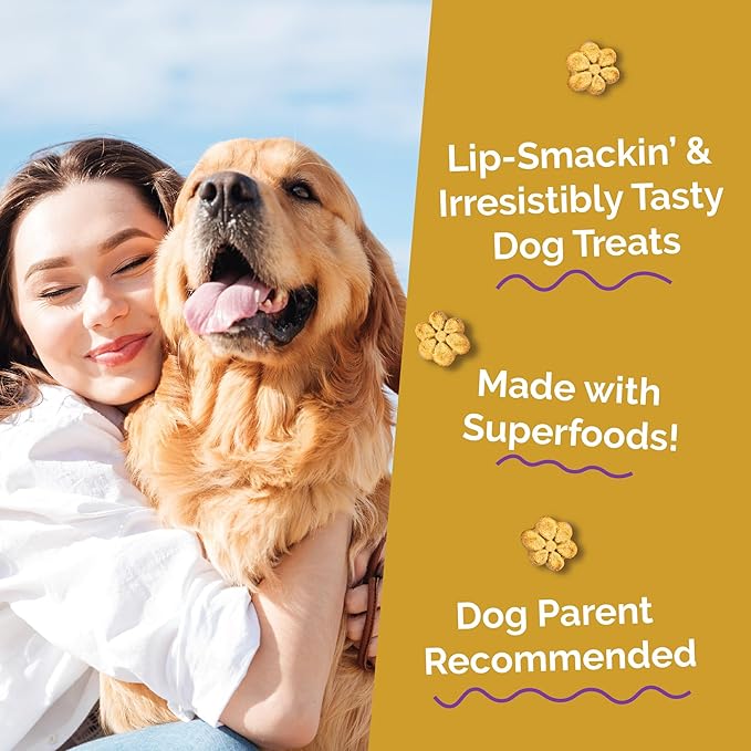 Fruitables Baked Dog Treats, Healthy Pumpkin Treat for Dogs, Low Calorie & Delicious, Free of Wheat, Corn and Soy, Made in The USA, Chicken and Cranberry Flavor, 7 oz