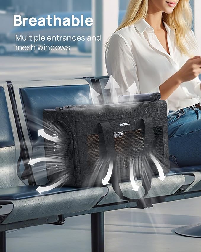 Airline Approved Cat Carrier, Pet Carrier Soft-Sided, Portable Dog Carrier with Stable Structure, TSA Approved Pet Carrier for Pets Less Than 12lbs, Cat Carrier Bag Suitable for Travel, Dark Gray