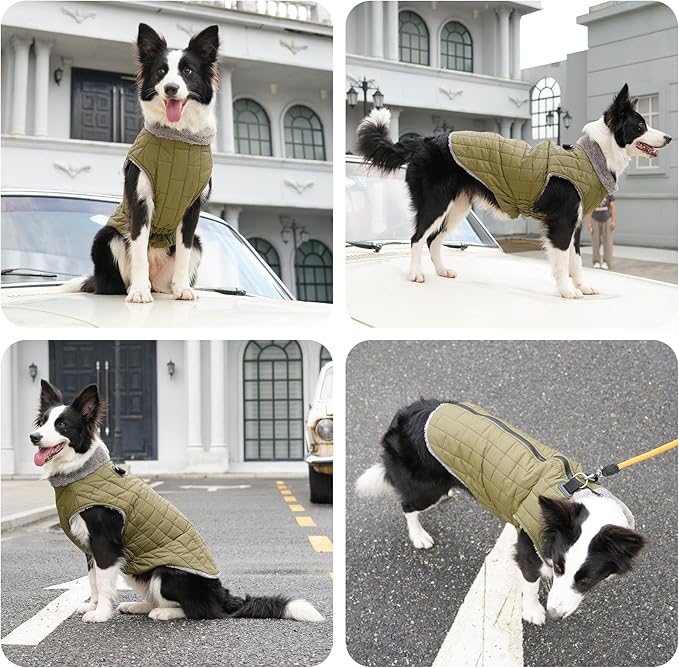 Warm Fleece Dog Coats with Durable Harness Buitl in D-Ring,Waterproof Puppy Jacket for Small Dogs,Dog Vest for Cold Winter,Green M