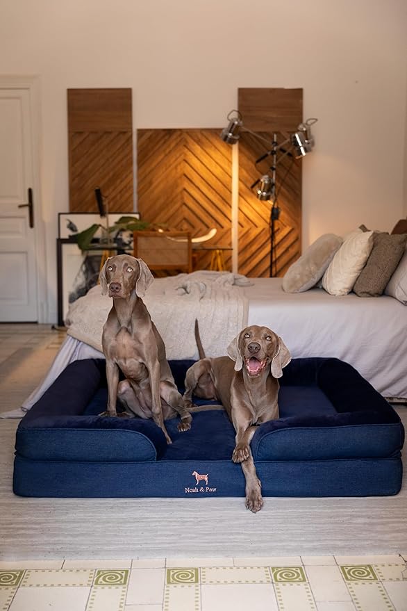 NOAH & PAW Giant Dog Bed XXL, 55x45x11 Inch, Orthopedic Dog Beds, Eggshell Memory Foam Infused with Cooling Gel, Inner Cover, Waterproof, Machine Washable (Denim Sofa Collection)