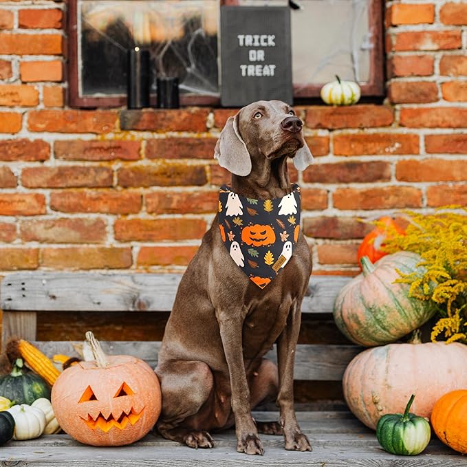 Halloween Dog Bandanas - 2 Pack Fall Dog Bibs | Reversible Pumpkin and Ghost Pet Scarf for Boys and Girls | Premium Durable Fabric | Orange Dog Bandana for Medium and Large Dogs (Large)