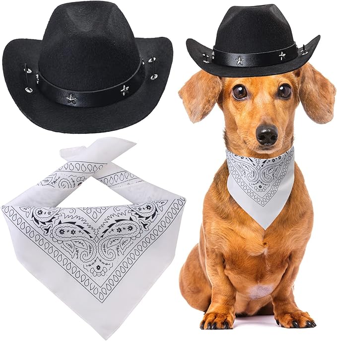 Yewong Pet Cowboy Costume Accessories - Dog Cat Pet Size Cowboy Hat and Bandana Scarf West Accessories for Puppy Kitten Party Festival and Daily Wearing Set of (Black Hat+White Bandana)