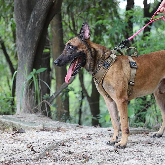 ICEFANG Dog Strap Harness with 4 x Metal Buckles,for Medium Sized Dog,K9 Vest,Y-Shape Chest,Adjustable Pet Harness,No-Pull Front Leash Clip (Medium (Pack of 1), Brown)