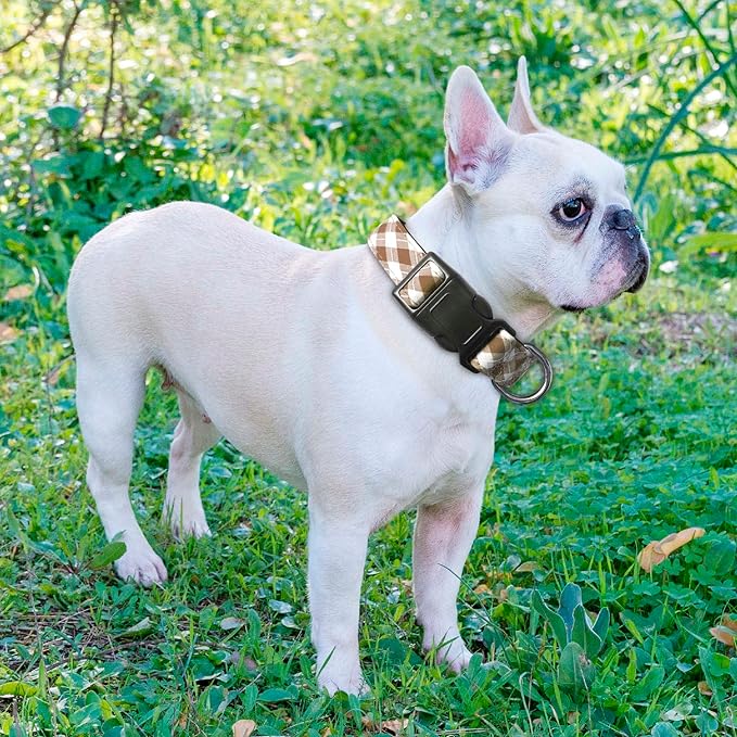 Reflective Dog Collar Padded with Soft Neoprene Breathable Adjustable Nylon Dog Collars for Small Medium Large Dogs (Large (Pack of 1), Vanilla Plaid Collar+Leash)