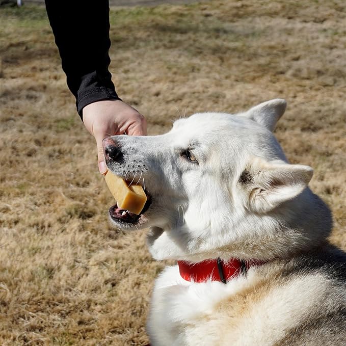 Authentic Himalayan Yak Cheese for Dogs - XLarge (Pack of 6) - Sourced from Pristine Himalayan Foothill, Rawhide-Free, NO preservatives