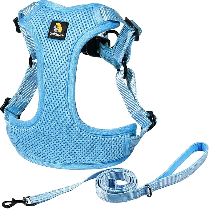 BELLA & PAL Adjustable Step-in Dog Harness, Puppy No-Pull Vest with Leash Set for XS/Small & Medium Dog, Breathable All-Weather Mesh, Reflective Strip, Secure Hook & Loop, Buckle Closure, Dual D-Rings