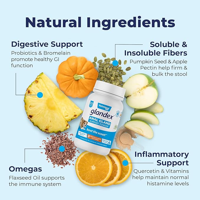 Vetnique Glandex Dog Fiber Supplement Powder for Anal Glands with Pumpkin, Digestive Enzymes & Dog Probiotics for Digestive Health - Vet Recommended - Boot The Scoot (Vegan Salmon, 2.5oz Powder)