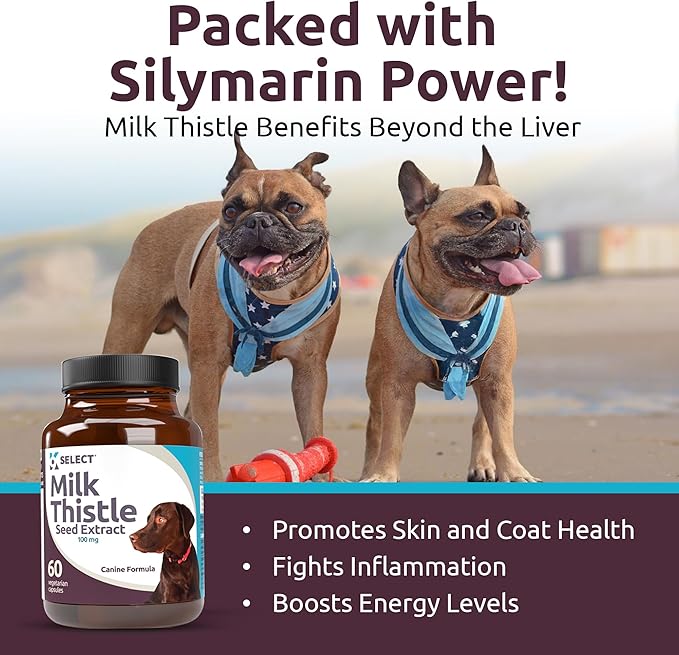 K9 Select Milk Thistle for Dogs, 100mg - 60 Vegetable Capsules - Canine Liver Health Milk Thistle Supplement - Milk Herbal