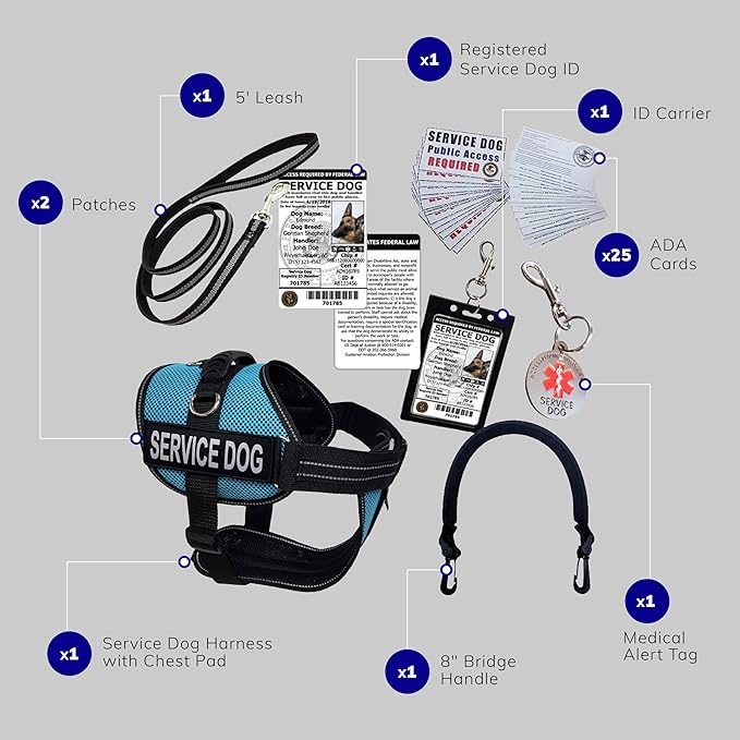 ActiveDogs Full Service Dog Kit - Large Aqua - Service Dog Vest Harness with Handle, ID, ID Holder, ADA Cards, Medical Alert Keychain, Leash & Patches