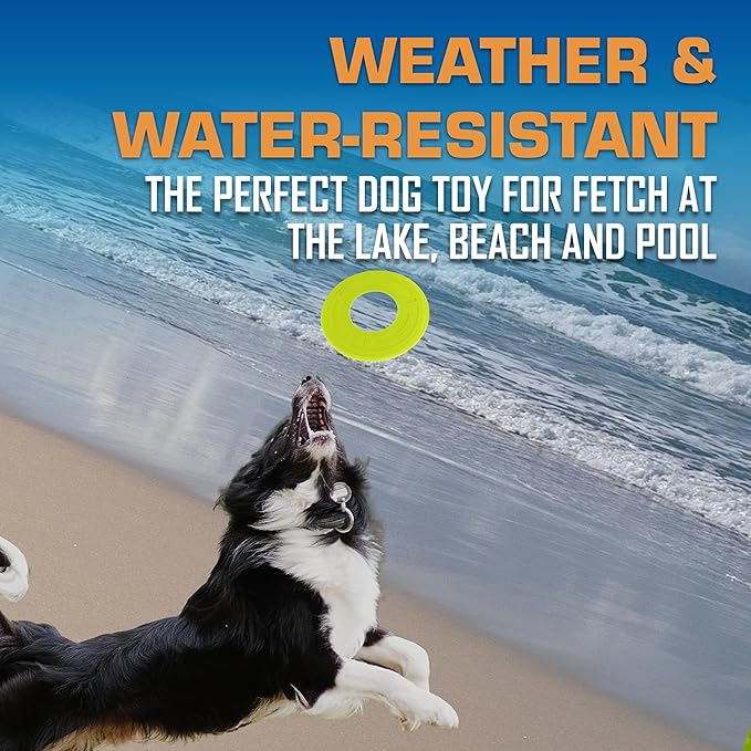 Nerf Dog Atomic Flyer Outdoor Dog Toy, 10 Inch Flying Disc Dog Fetch Toy, Rubber Dog Toy for Medium Dogs and Large Dogs, Green