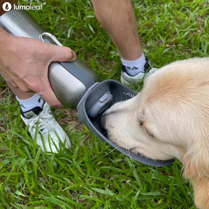LumoLeaf Portable Dog Water Bottle 27 OZ, Stainless Steel Pet Travel Water Bottle Dispenser for Walking, Hiking and Outdoor, Portable Water Bowl for Large Dogs (Grey)