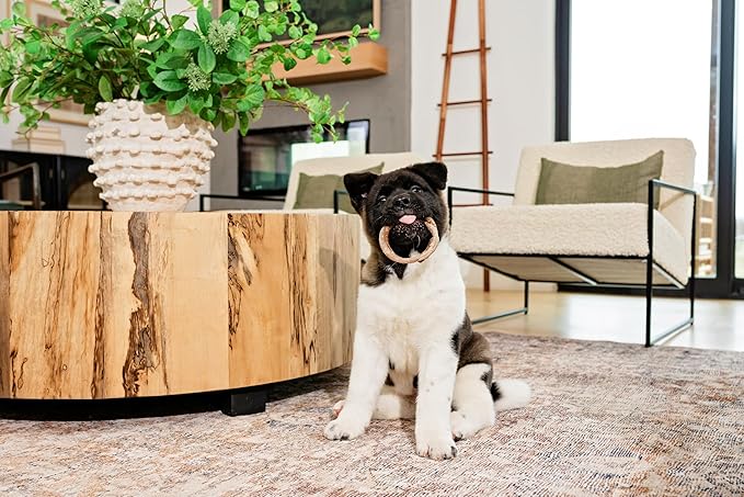 N-Bone Puppy Teething Ring Pumpkin Flavor 7.2 OZ/(6 Pack)