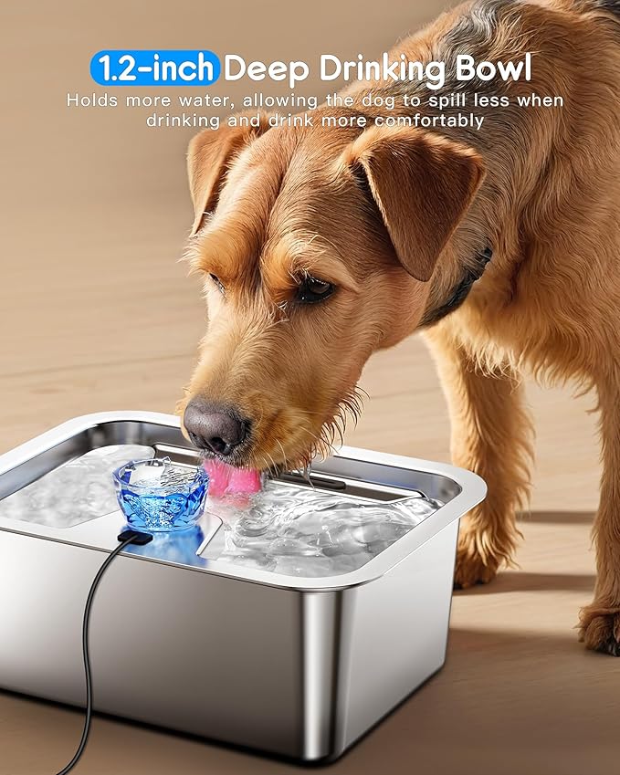 3 Gallon Large Dog Water Fountain, Stainless Steel Pet Water Fountain for Large Dogs, Automatic Big Dog Water Bowl Dispenser Drinking with 2 Filters, Easy to Clean, Quiet Pump