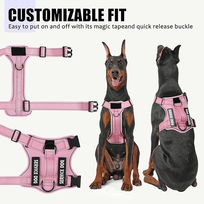 Demigreat Dog Harness, Reflective Vest with 5 Patches, Adjustable Soft Oxford, Inner Mesh, Prevent Pulling, Easy Control for Small Medium Large Dogs