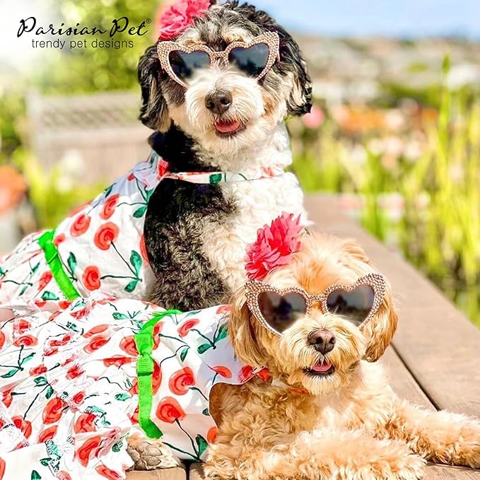 Parisian Pet Boho Dog Dress - Red Poppies Summer Clothes - Velcro Closure, Lightweight Cotton Dressy Outfit - Small Dog Girl Dress - Beach Outfit - XS