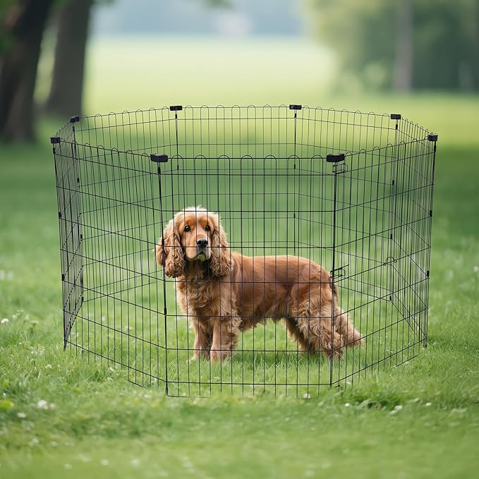 Amazon Basics Foldable Octagonal Metal Exercise Dog Playpen - Indoor/Outdoor, No Door, Medium (8 Panels, 24 x 36), Easy to assemble, store, and customize, 36" - Medium, Black