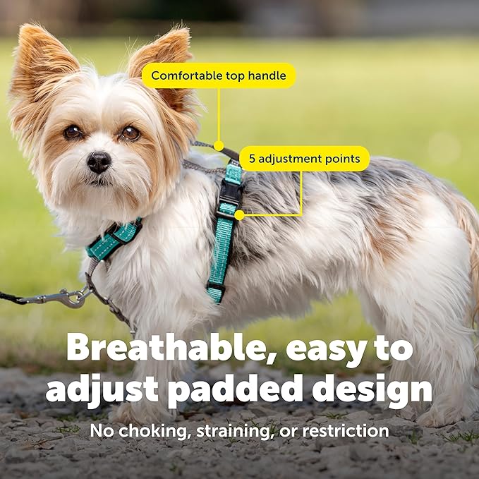 PetSafe 3-in-1 Harness - Comfortable Easy-Walk Dog Chest Harness with Front Leash Attachment to Reduce Pulling, Choking & Gagging - Dog Obedience Gear - Extra Small - Teal