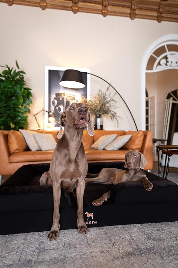 NOAH & PAW Giant Dog Bed XXL, 55x45x11 Inch, Orthopedic Dog Beds, Eggshell Memory Foam Infused with Cooling Gel, Inner Cover, Waterproof, Machine Washable (Denim Sofa Collection)