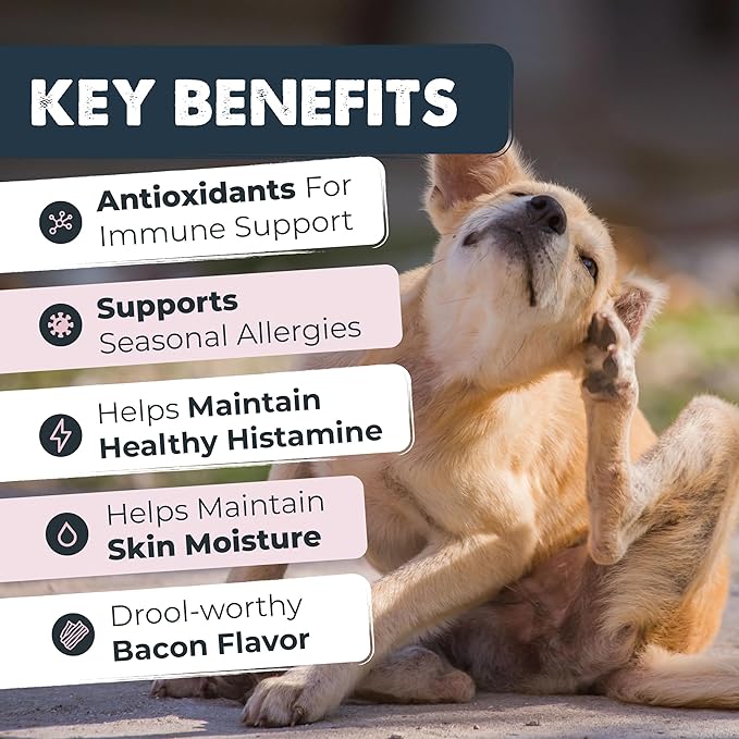 Mighty Paw Waggables Allergy Immune + Itch (Made in The USA) 2 Pack -Dog Chews Anti-Itch for Dogs. Allergy Support Vitamins for Skin and Coat Allergies. Omega 3 & Quercetin for Pets 240 Ct