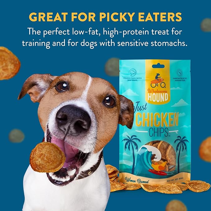 Just Chicken Chips | Single Premium Ingredient & Healthy Treats | All Natural Training Treats for Small, Medium, and Large Dog Breeds | Made in USA - 3oz