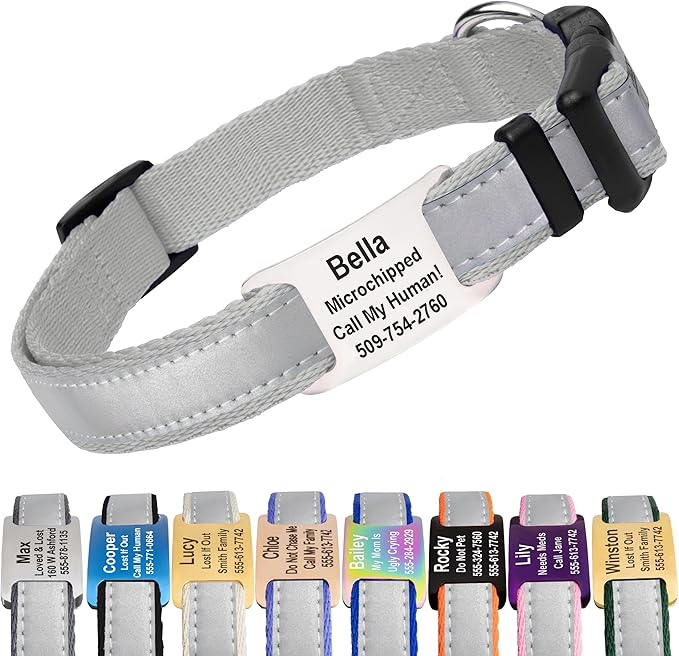 GoTags Reflective Personalized Dog Collar with Nameplate, Adjustable Dog Collar with Custom Engraved Steel Slide On Pet ID Tag, Silent, No Noise Dog Tag for Large Medium or Small (Light Gray, Medium)