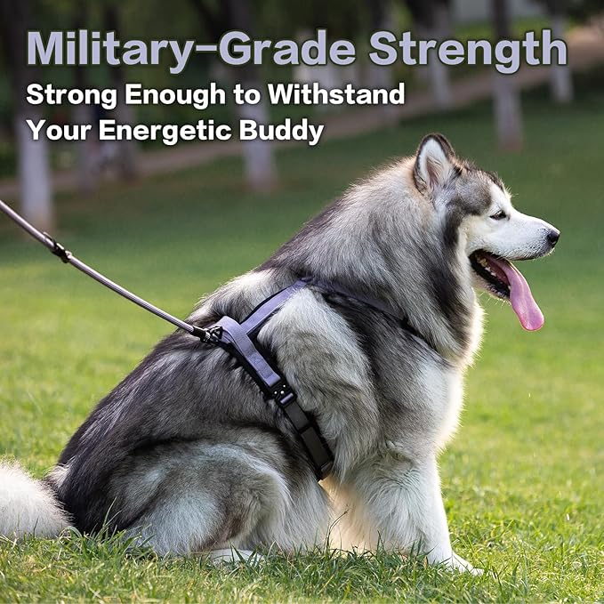 PawsPassion Dog Harness for Medium Dogs, No Pull Dog Harness Easy Walk with Metal Hardware, Ergonomic Y-Shaped Design, Soft Padding, Padded Handle, Durable High-Tensile Nylon (Lilac Breeze, M)