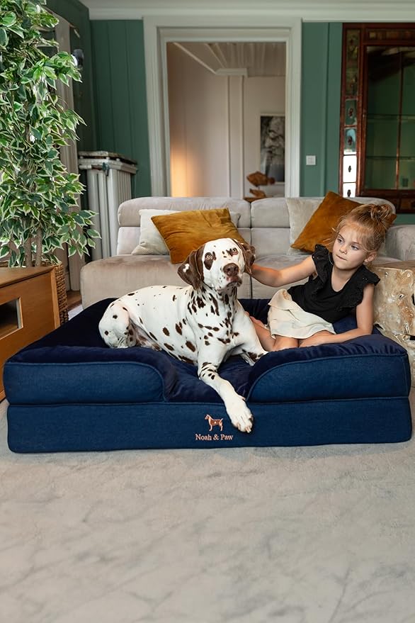 NOAH & PAW XL Dog Bed, 45x35x11 Inch, Orthopedic Large Dog Beds, Eggshell Memory Foam Infused with Cooling Gel, Inner Cover, Waterproof, Machine Washable (Denim Sofa Collection)