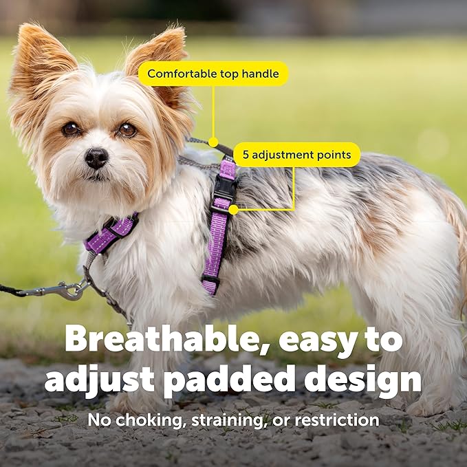 PetSafe 3 in 1 Dog Harness - No Pull Solution for Dogs - Reflective Dog Harness - Front D-Ring Clip Helps Stop Pulling - Comfortable Padded Straps - Top Handle Enhances Control - Plum - Extra Small